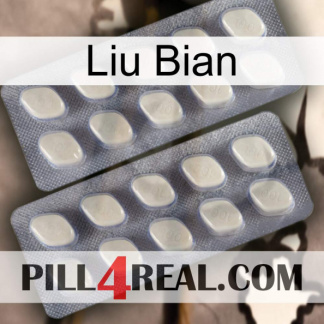 Liu Bian 07